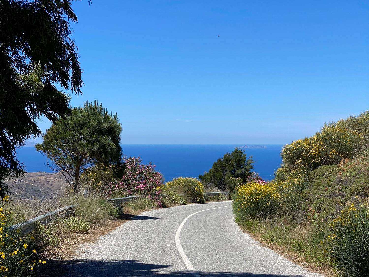 A road curves round a corner with view of shrubs on the roadside and the sea beyond | Driving in Greece - tips for driving the islands | greekislandbucketlist.com