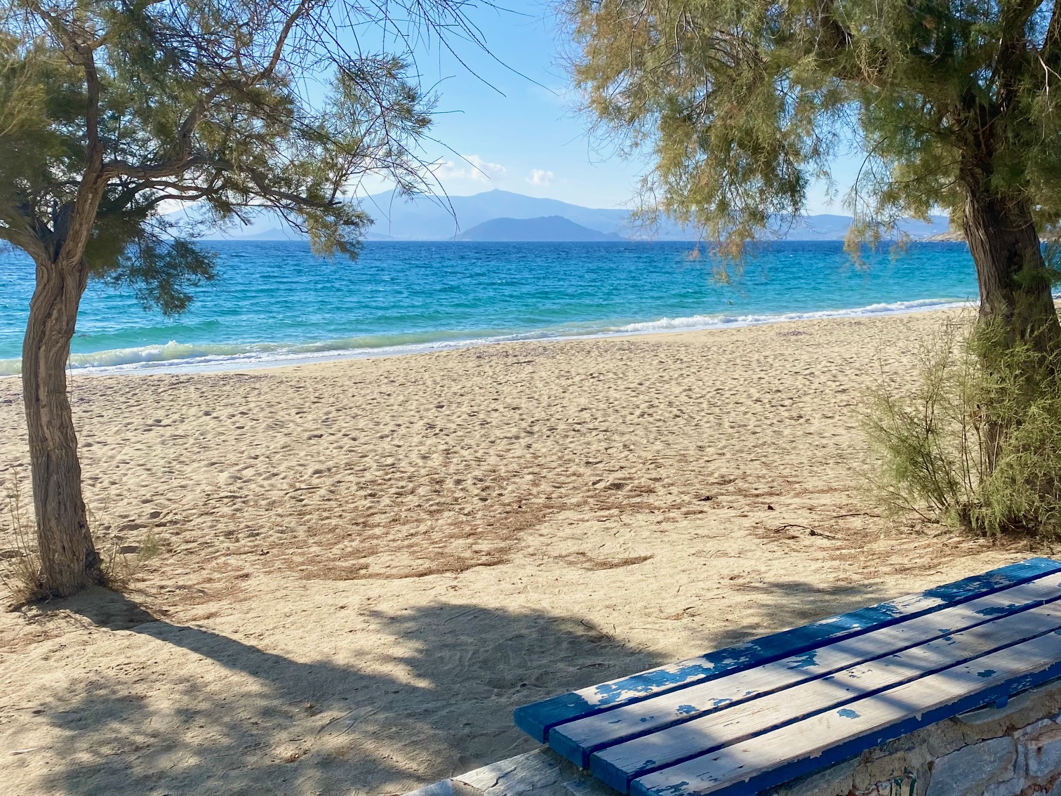 View of beach from between two trees | Naxos Beaches Guide | greekislandbucketlist.com