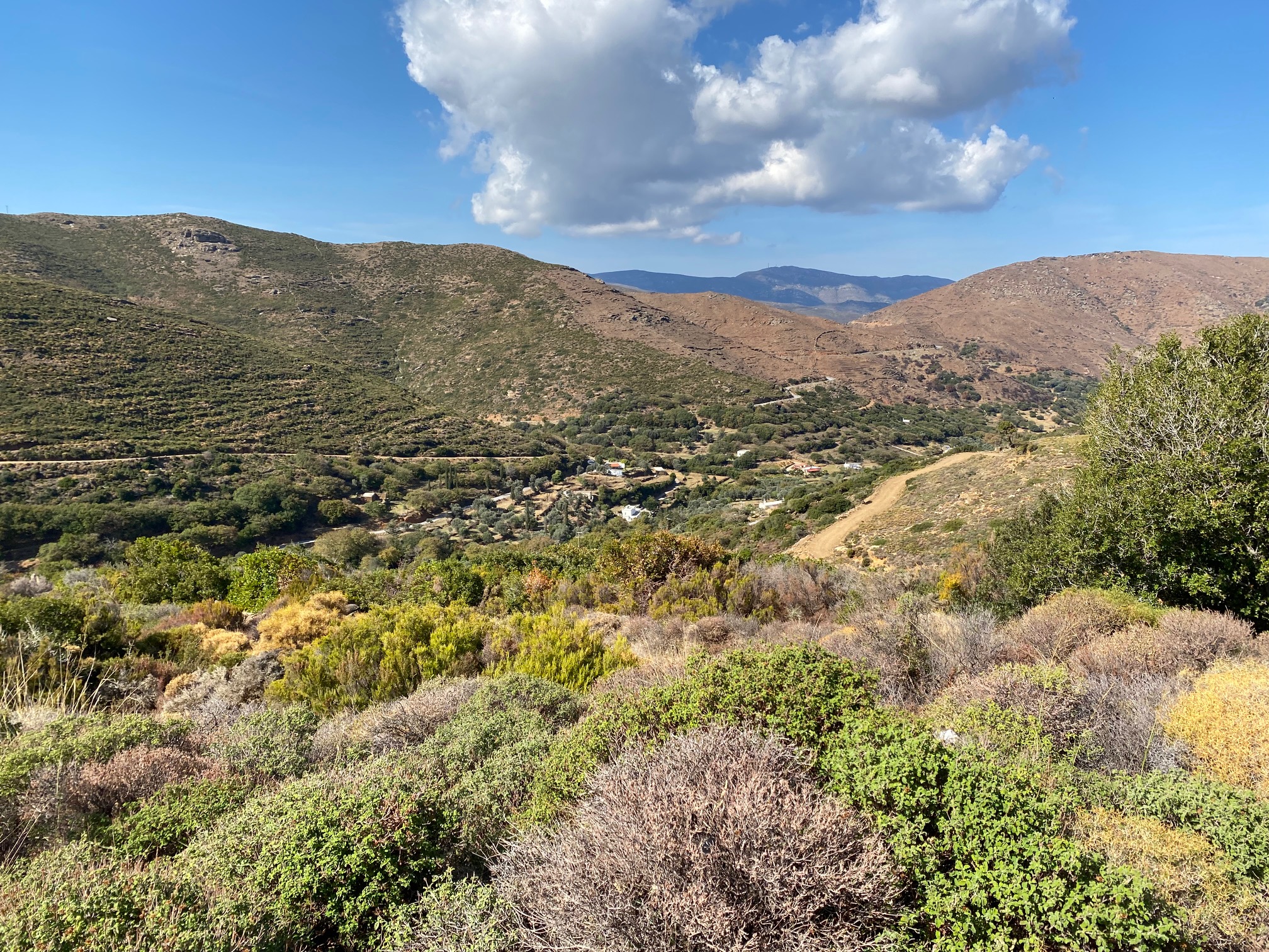 Multi-coloured gorse covering a valley with hills in the background | Andros - 2022 Guide to a Beach and Hiking Paradise | greekislandbucketlist.com