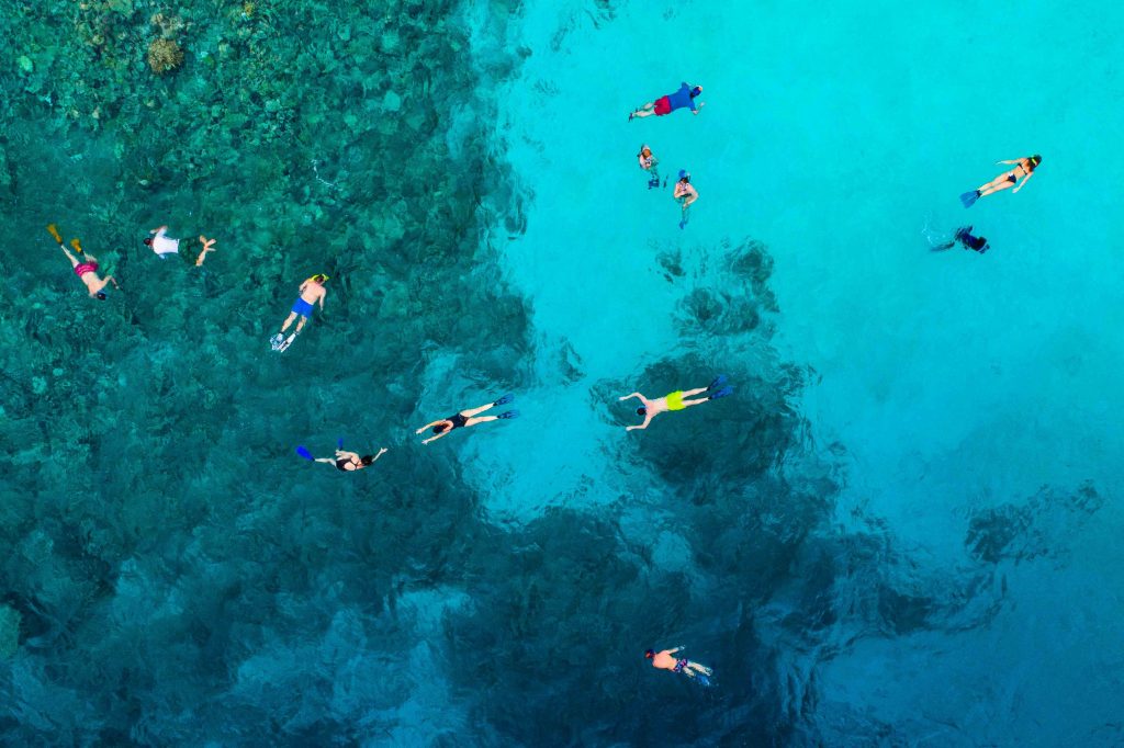 People snorkeling on the surface of the water